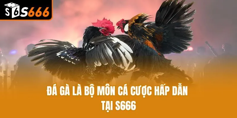 Tổng Hợp Các Hình Thức Đá Gà Online Siêu Hot Tại S666 Đá gà là bộ môn cá cược hấp dẫn tại S666