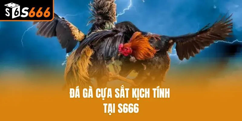 Tổng Hợp Các Hình Thức Đá Gà Online Siêu Hot Tại S666 Đá gà online cựa sắt kịch tính tại S666